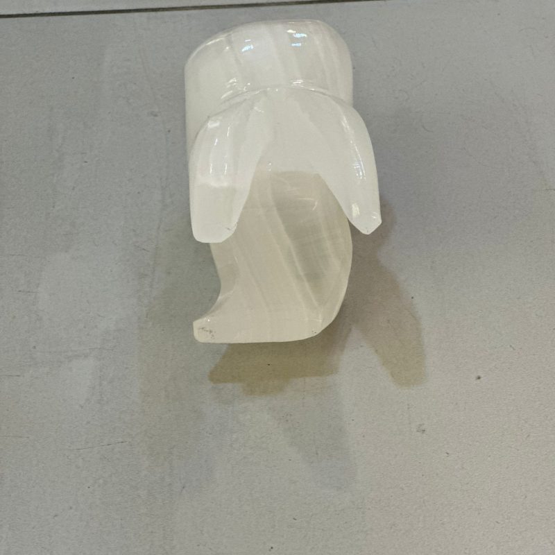 dente (1)